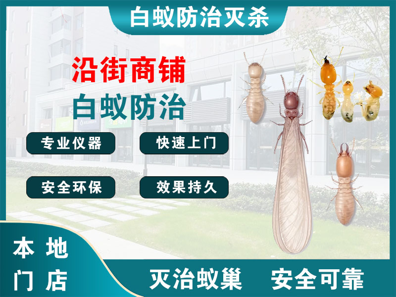 如皋市沿街商铺白蚁防治