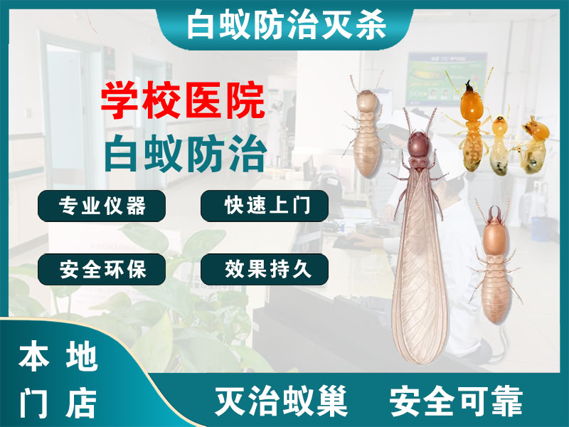 如皋市学校医院白蚁防治