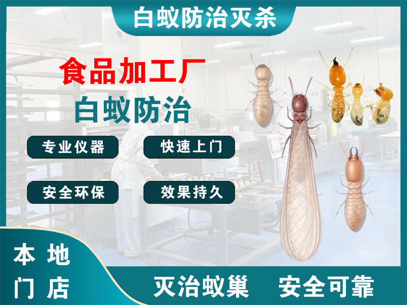 如皋市食品加工厂白蚁防治