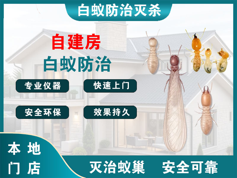 如皋市自建房白蚁防治