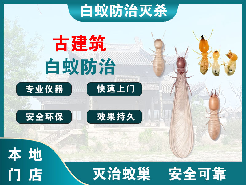 如皋市古建筑白蚁防治