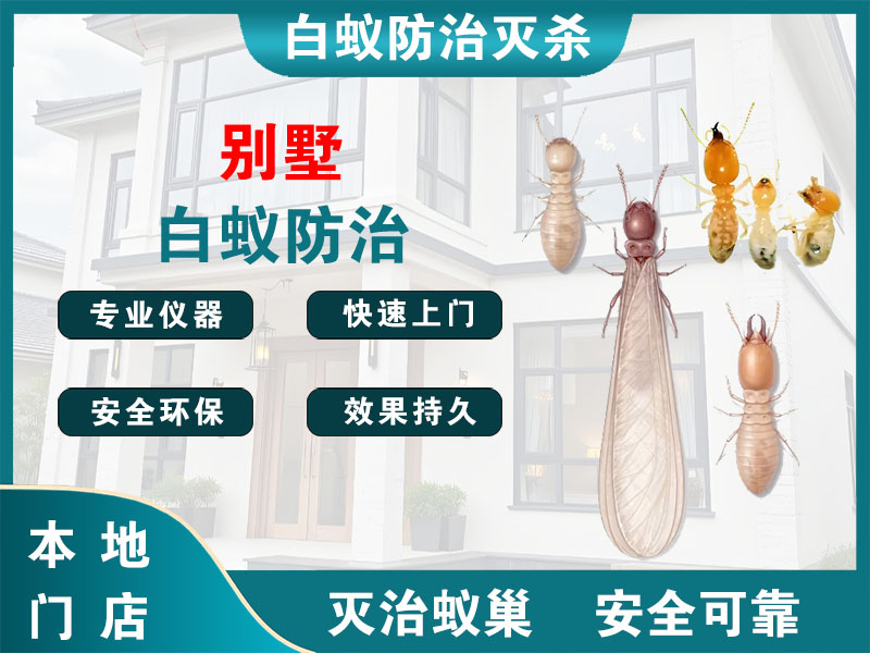 如皋市别墅白蚁防治