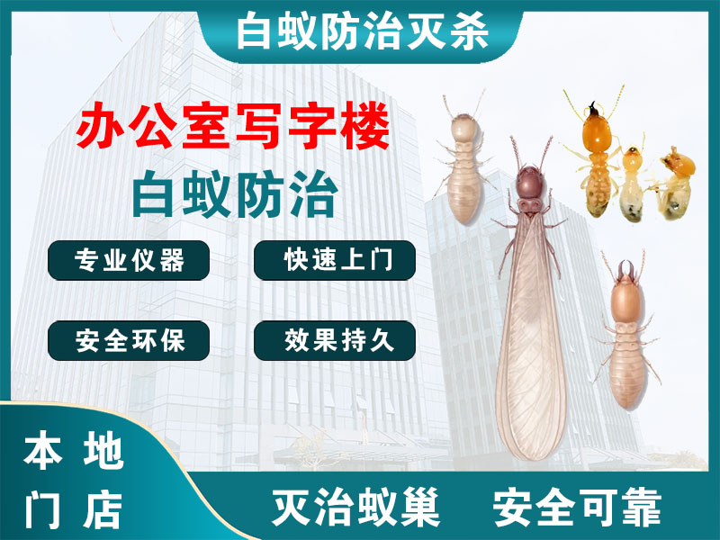 如皋市办公室写字楼白蚁防治