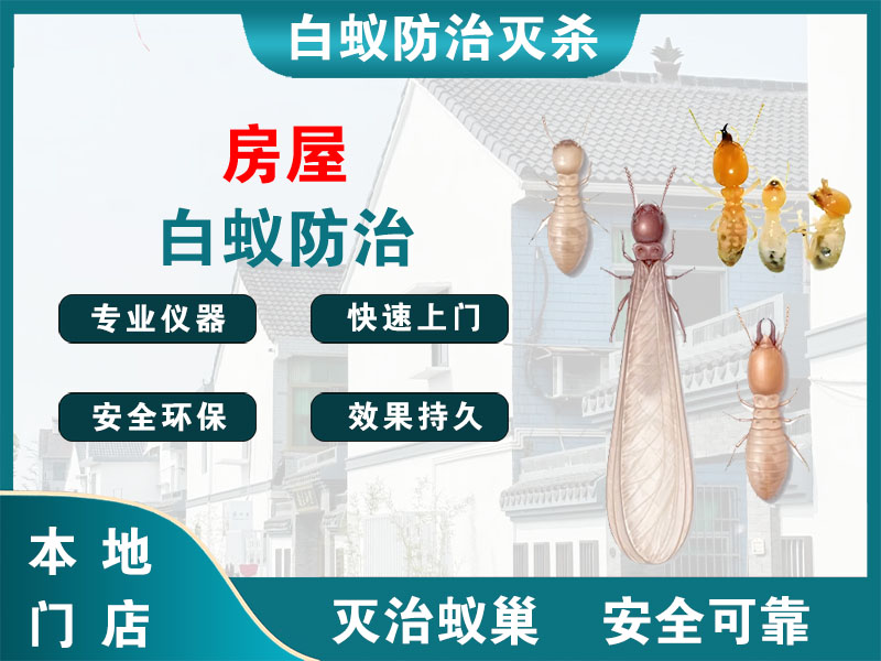 如皋市房屋白蚁防治